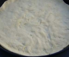 Pizza-Grundteig (zum Vorbereiten)