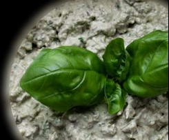 Oliven Sardellen Creme