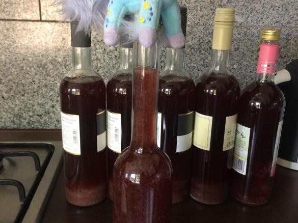 Einhorn Schluck 🦄