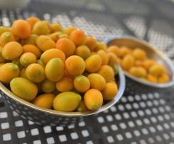 Kumpquat Orangen Marmelade