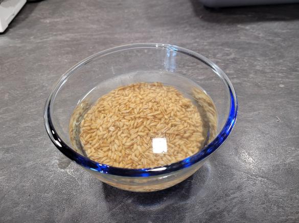 Haferdrink aus ganzen Haferkörnern