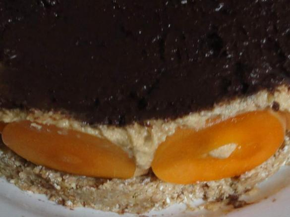 Aprikosentorte frisch, vegan, roh und ohne Zucker