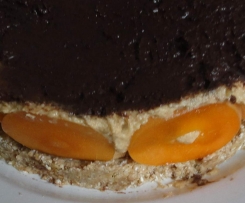 Aprikosentorte frisch, vegan, roh und ohne Zucker