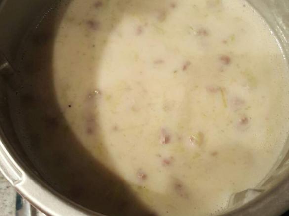  Schnelle Käse-Lauch-Suppe mit Tatar WW tauglich