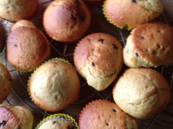 Muffins mit Schokotropfen und Apfelmus