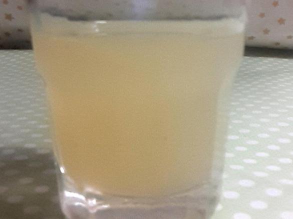 Zitronen- Ingwer Likör