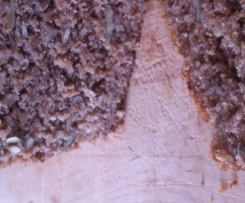 Leinsamenbrot