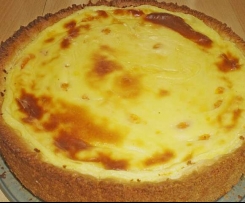 Mandarinen-Schmandkuchen 