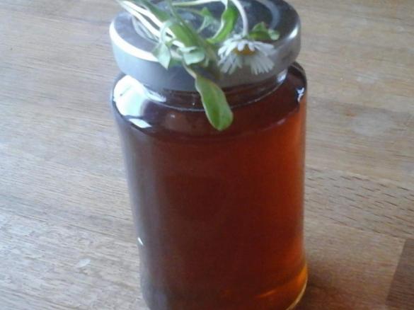 Gänseblümchen Sirup