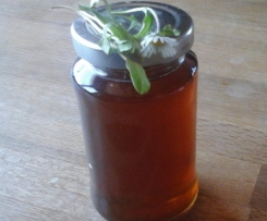 Gänseblümchen Sirup