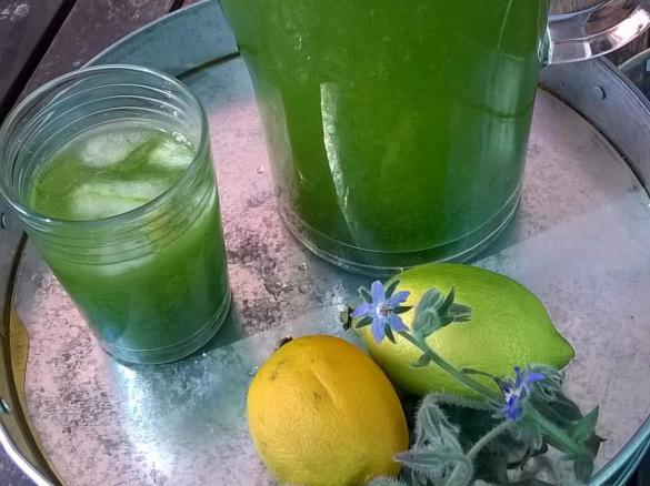 Borretschlimonade