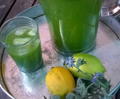 Borretschlimonade