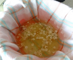 Holunderblütengelee - pur