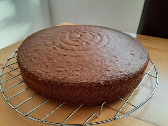 Dunkler hoher Bisquit Tortenboden