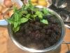 Ute's Brombeer- Minz Marmelade