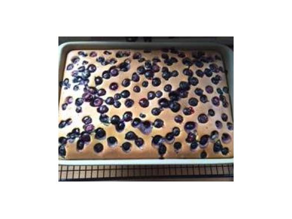 Blechkuchen mit Xucker vom Ofenzauberer von TPC, 1/2 Rezept 