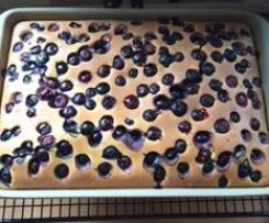 Blechkuchen mit Xucker vom Ofenzauberer von TPC, 1/2 Rezept 