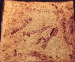 Speckpfannkuchen vom Blech