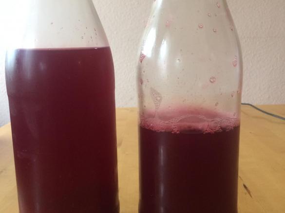 Himbeersaft ohne Zucker aus frischen Himbeeren