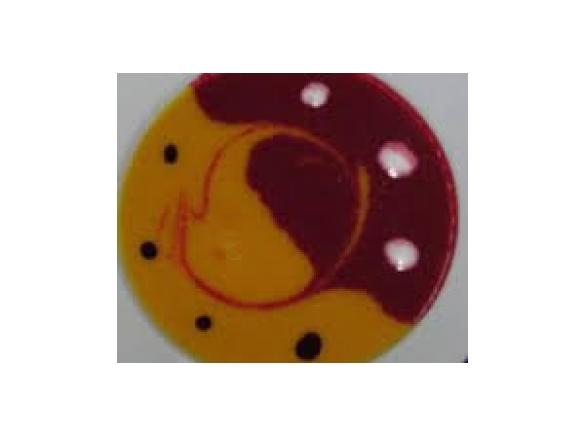 Kürbis küsst Rote Beete