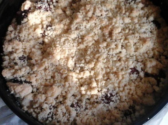 Pflaumen Streusel Kuchen vegan