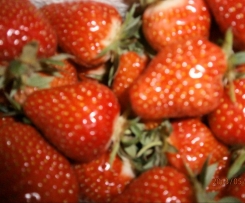 ERDBEER SEKT MARMELADE