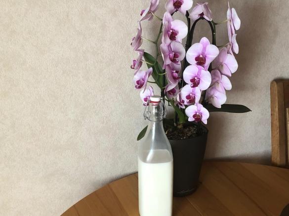 Zitronenlikör mit weißem Rum