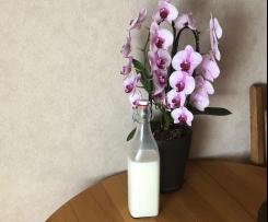 Zitronenlikör mit weißem Rum