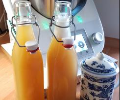 Variation Wellness-Tee (Ingwershot)