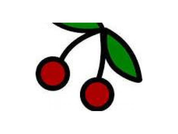 Kirschkuchen "Einer-für-Alles"