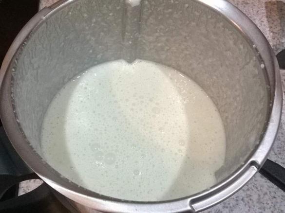 Traube-Apfel-Joghurt Drink