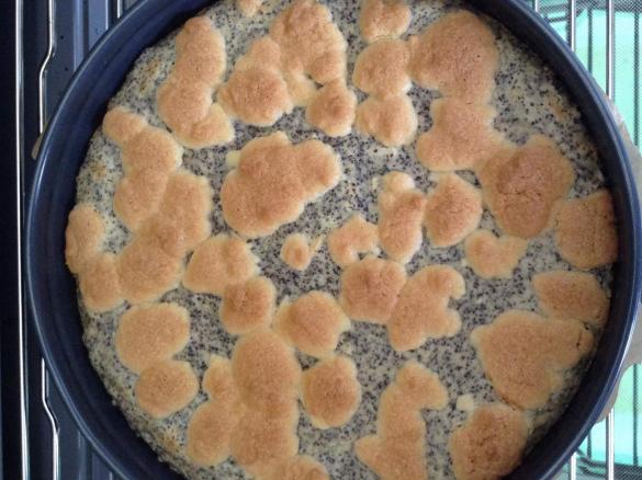 Einfacher Mohnkuchen