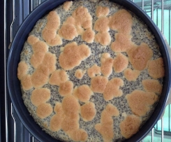 Einfacher Mohnkuchen