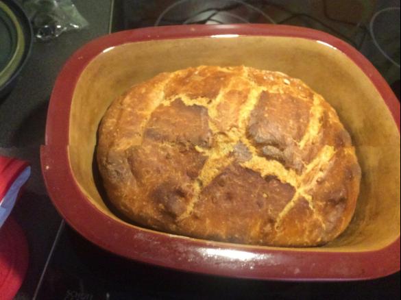 Leo - Das Schmandkrüstchen