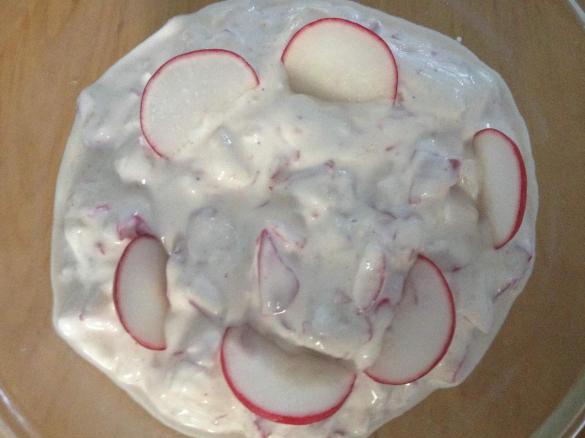 Griechisches Radieschen Zaziki