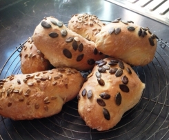 Schwäbische Briegel