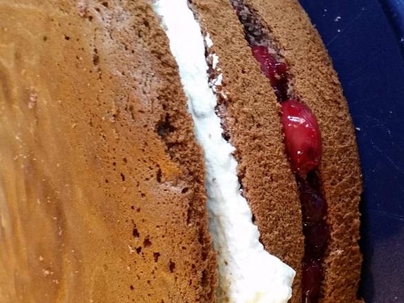Bisquitboden für Torten z.B. Schwarzwälderkirsch-Torte