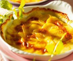 Kartoffelgratin XXL