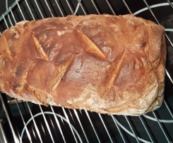 Chiasamen Roggen Brot 