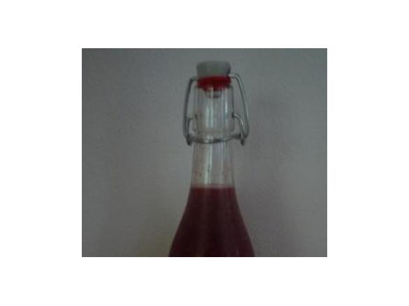 Tropischer Blaubeer Limes