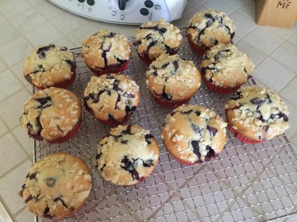 BLUEBERRY MUFFINS