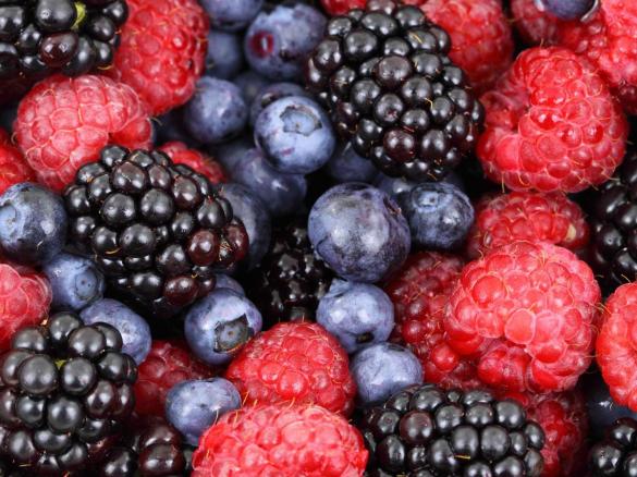 schneller Obstblechkuchen zu jeder Jahreszeit