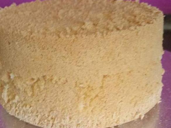 Bäckermeister Biskuitboden