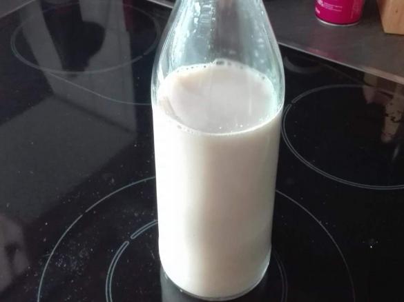 Hafermilch, ganz einfach