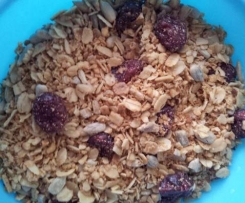 Knuspermüsli mit Cranberries
