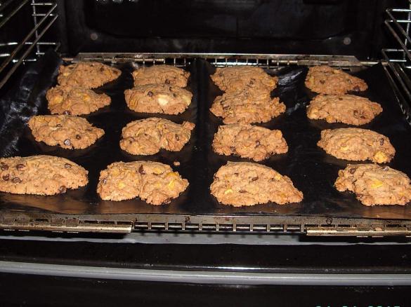 Känguruh-Kekse (Chokky Rocks)