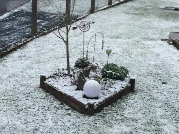 Variation von Tzatziki  zum Camping 