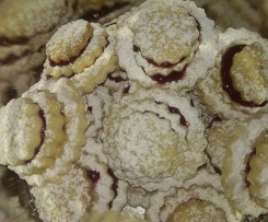 Terrassenkekse, Weihnachtsplätzchen