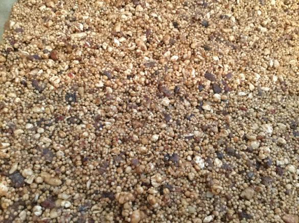 Variation Amaranthschnitten vegan