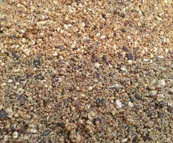 Variation Amaranthschnitten vegan